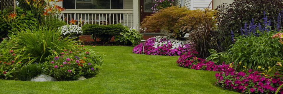 We provide landscaping
services since 2003